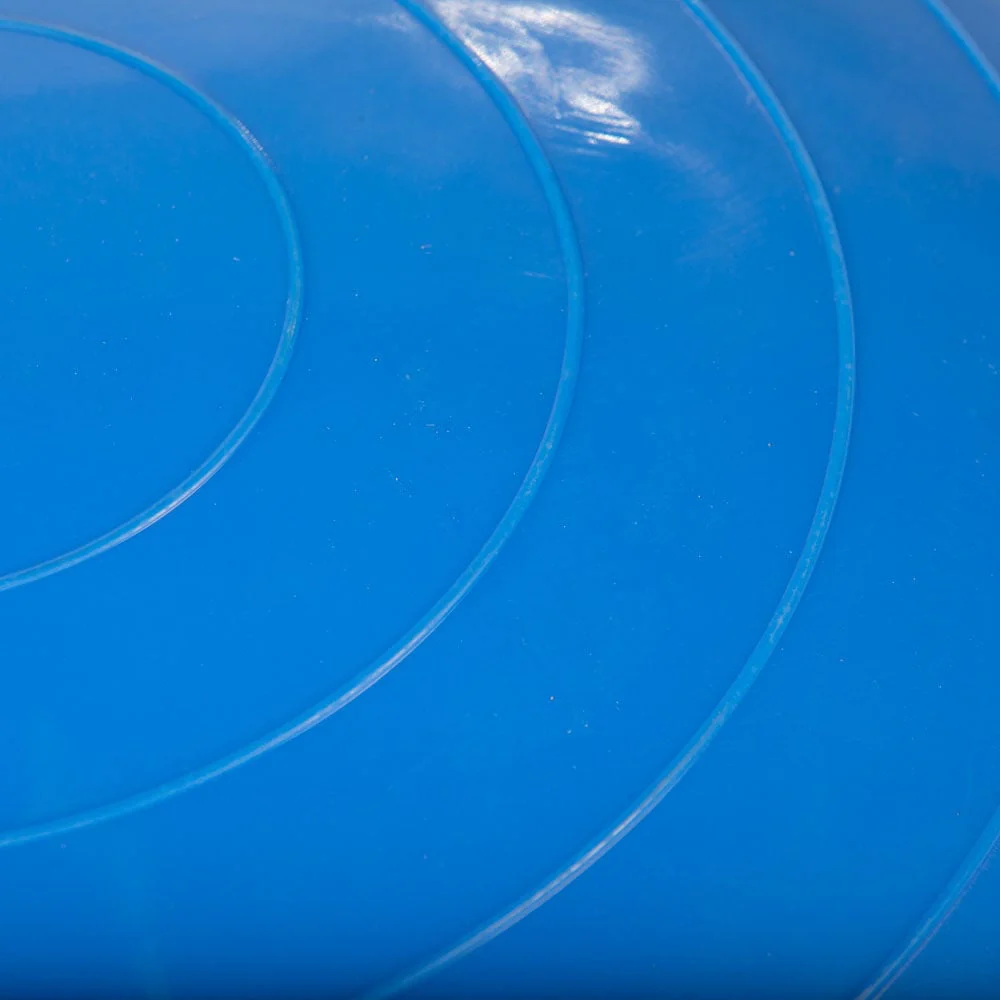 Blue Balance Ball Trainer - Image 4