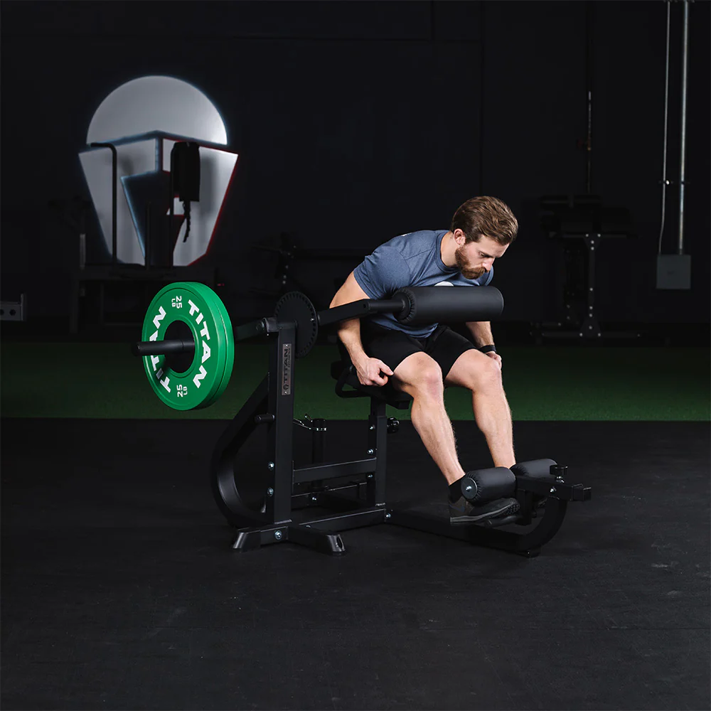 Seated Ab / Back Extension Machine - Image 4