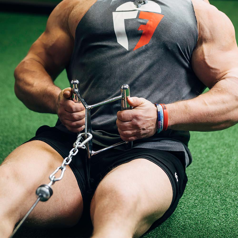 Double D-Handle Cable Machine Attachment - Image 3